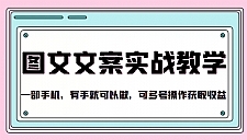 抖音图文文案实战教学 一部手机，有手就可以做，可多号操作获取收益